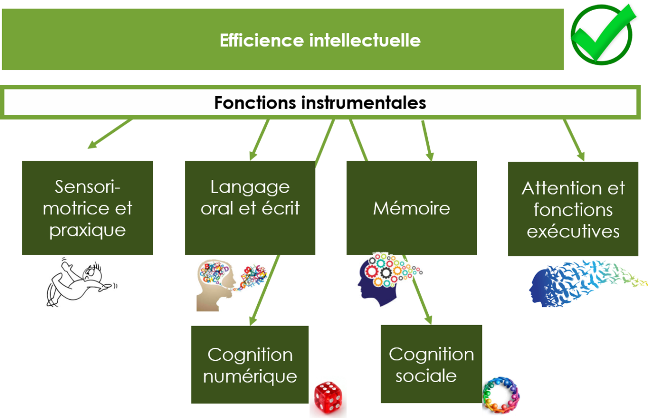 Comprendre Les Troubles Des Apprentissages Cerene